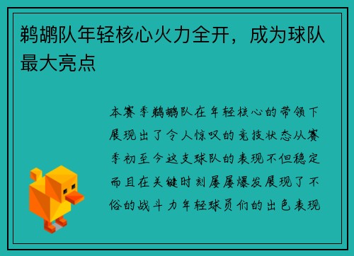 鹈鹕队年轻核心火力全开，成为球队最大亮点